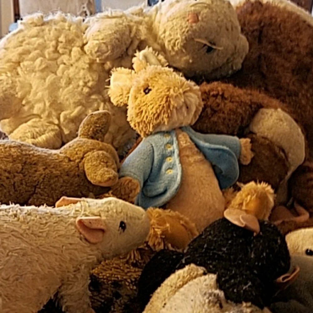 My hubby and I are browsing for now.